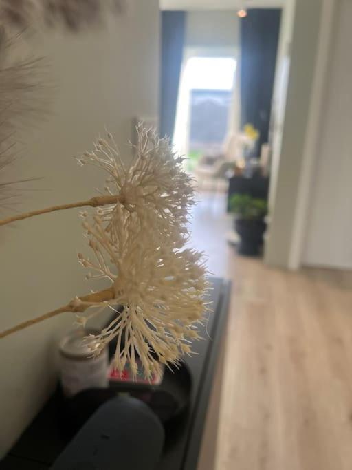 Golden Circle House 1 Apartment Selfoss Bagian luar foto